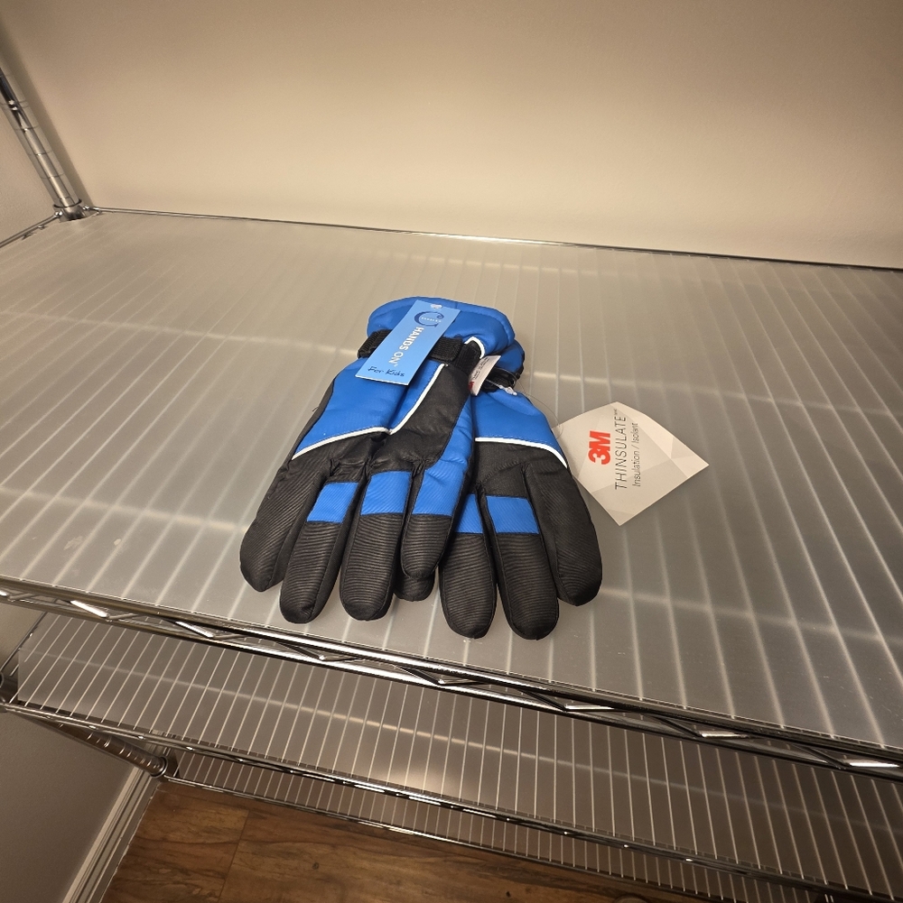 Thinsulate 3M Winter Gloves